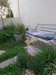 גינת תבלינים בגינה הפרטית