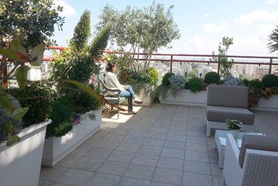 גינה פרקטית