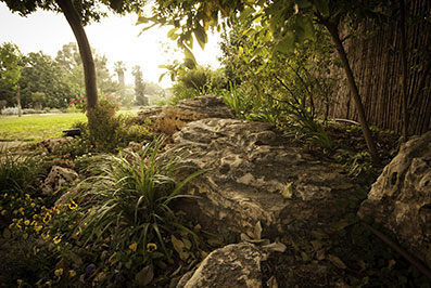 תכנון גינות פרטיות