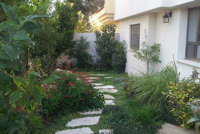 עיצוב גינות לפני ואחרי בכפר סבא - גינונים