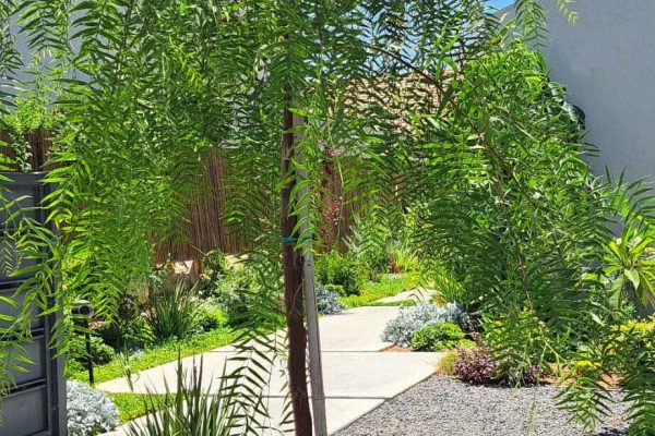 שביל-כניסה-אחרי קטנה